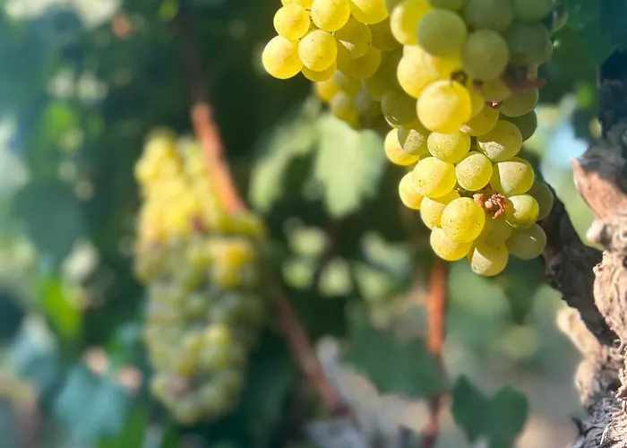 En İyi Datça Otelleri - Konforlu Konaklama